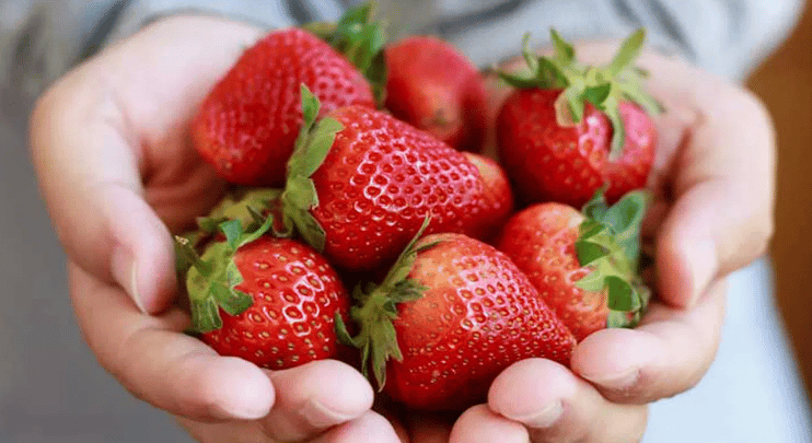 Are Strawberries Good for Diabetics? Portions and Glucose