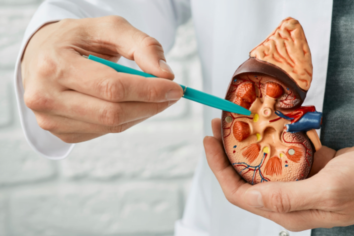 Diabetic Nephropathy: Risks, Stages, and Kidney Care