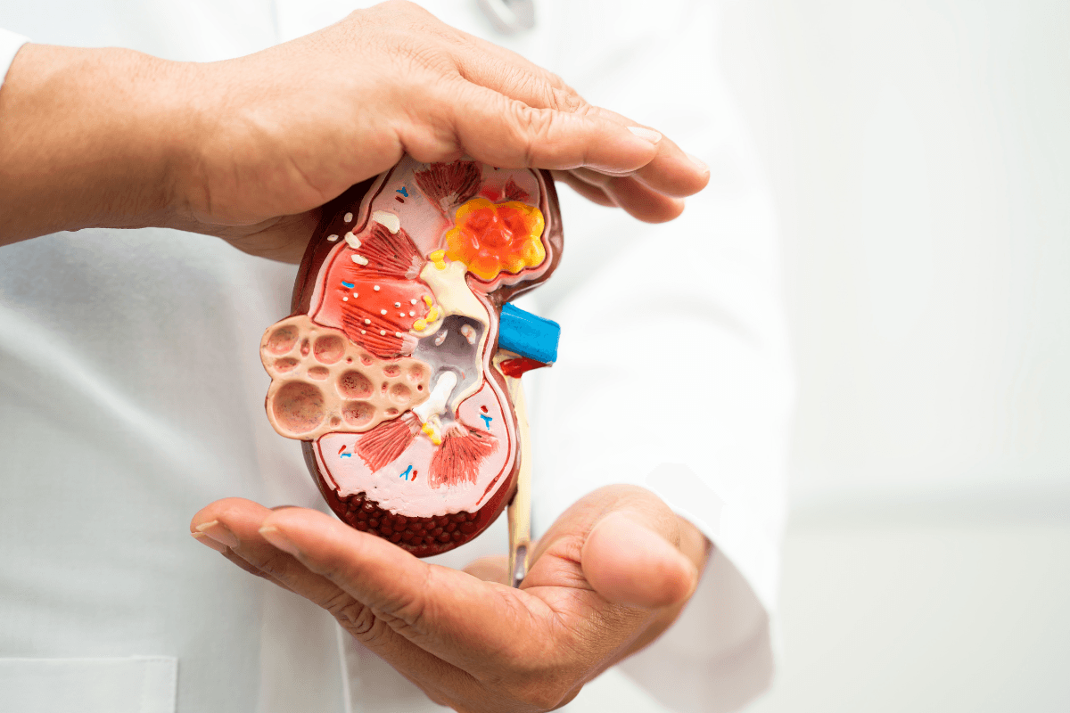 Dapagliflozin in Chronic Kidney Disease: Impact in Diabetes