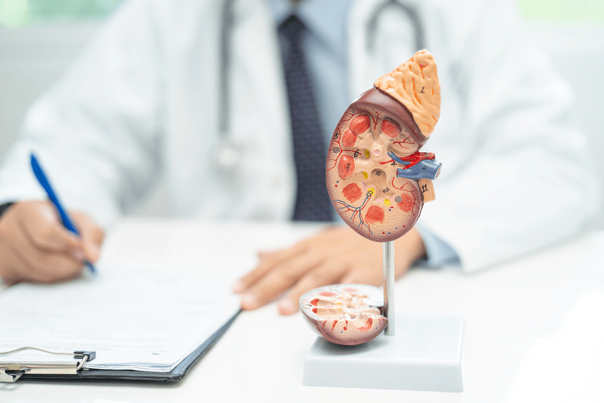 Dapagliflozin for CKD: Safety, Evidence, and Care Decisions