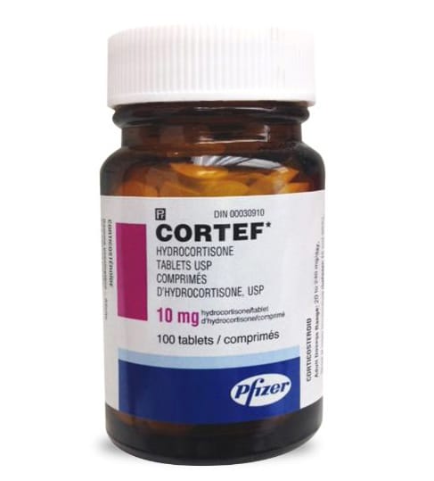 Cortef Hydrocortisone 1 Cortef Hydrocortisone