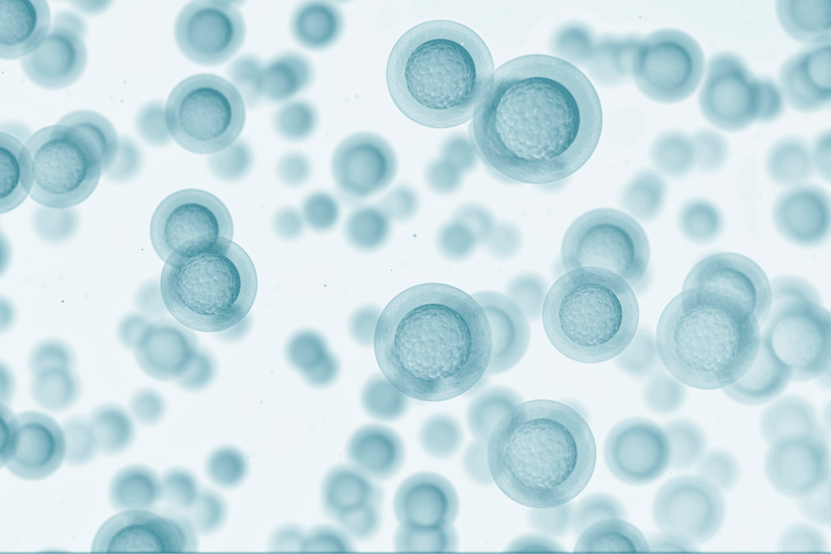 Metformin and Fertility: Egg Freezing and Preservation Planning