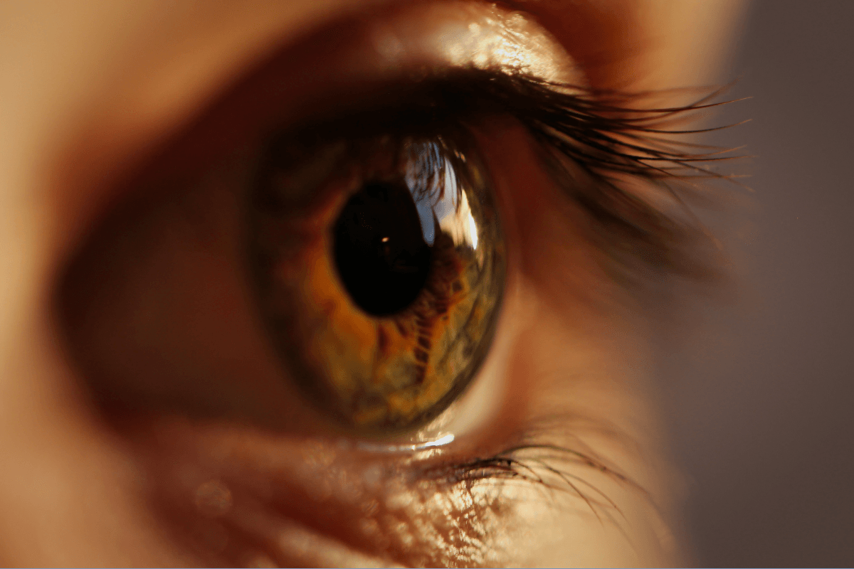 Diabetic Retinopathy: Symptoms, Stages, and Eye Care