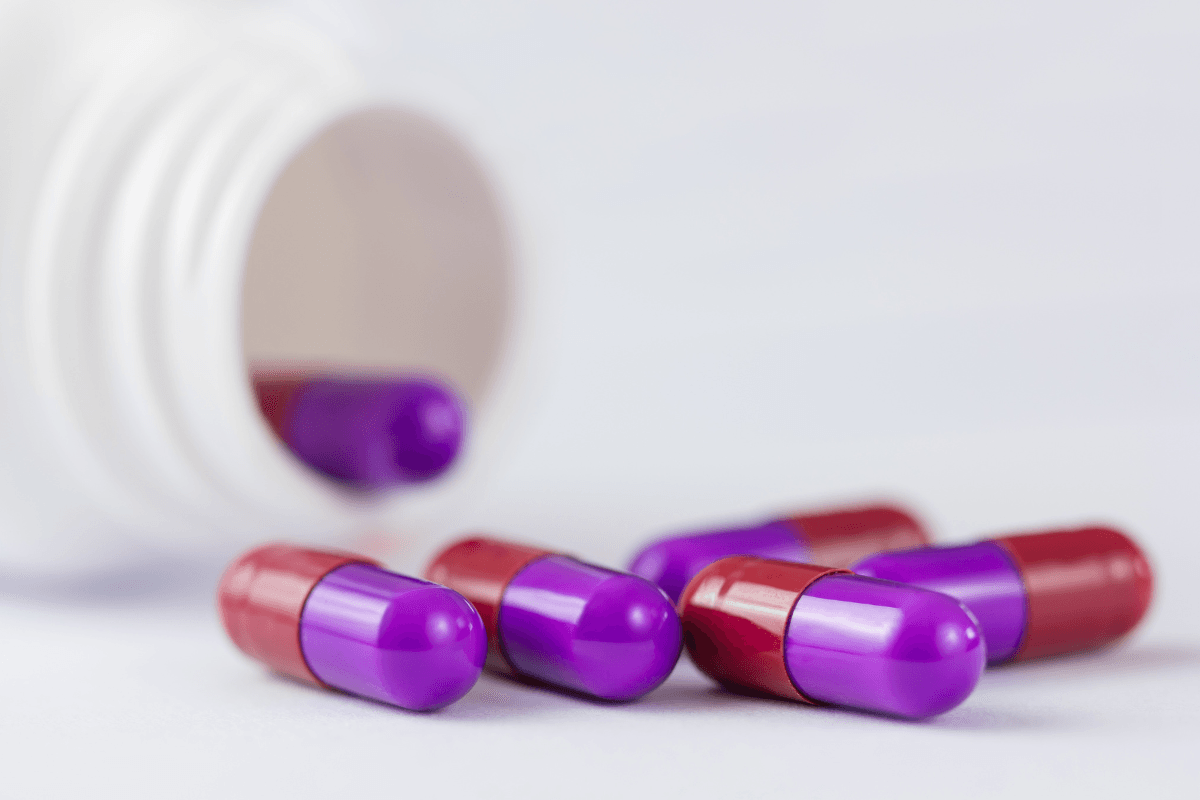 Cephalexin for Dogs: Safety, Uses, and Dosing Questions