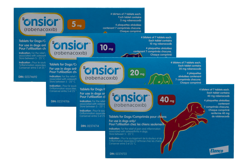Onsior Dog 1 Onsior Dog