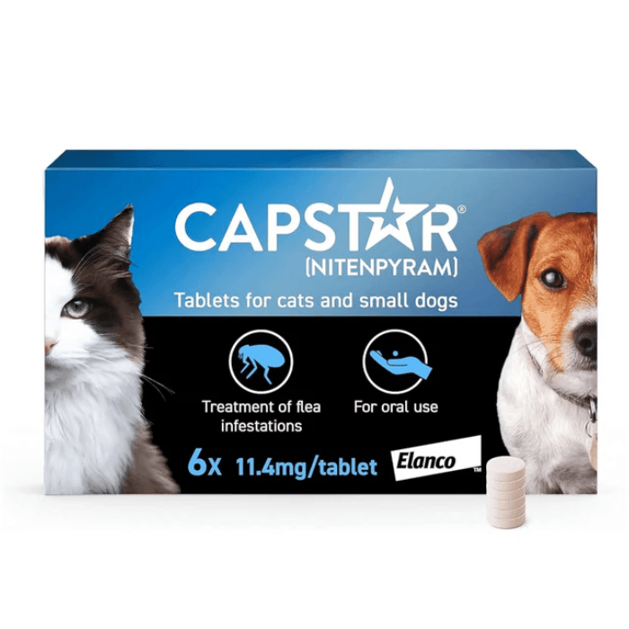 Capstar for Cat/Dog 1 Capstar for Cat/Dog
