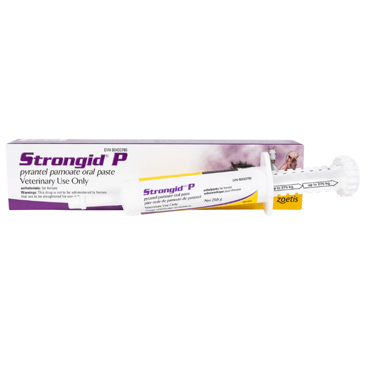 Strongid P 1 Strongid P